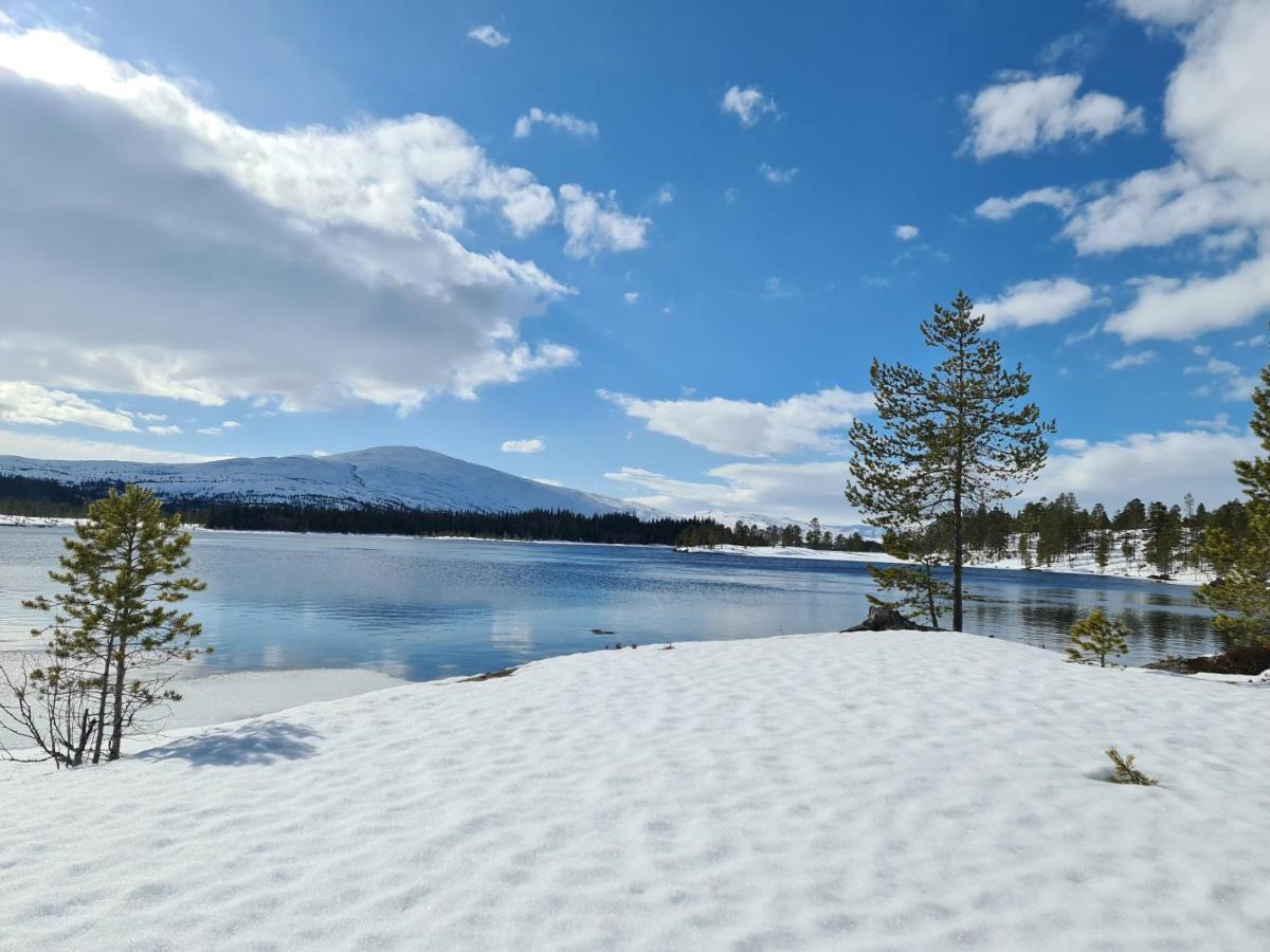 Granheim Villa Namsskogan Bagian luar foto